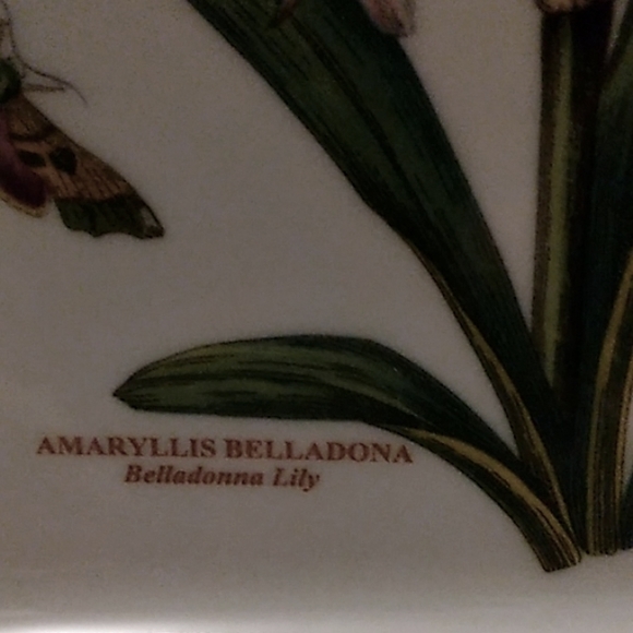 PORTMEIRION BOTANIC GARDEN AMARYLLIS/BELLADONNA LILY 7.5" SQUARE PLATE - Picture 2 of 5